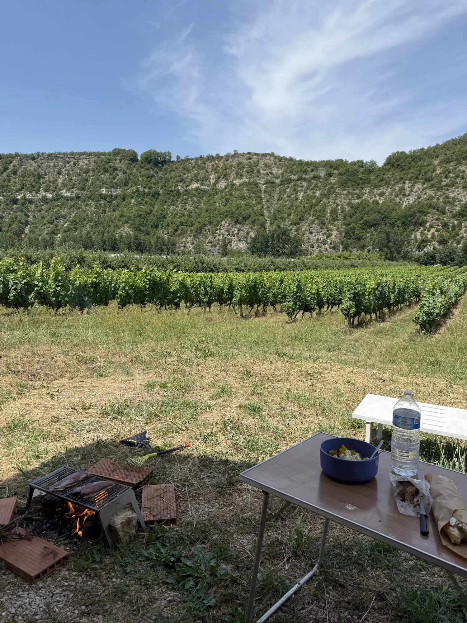 Une table dehors, un chapeau, une bouteille, et la vigne juste derrière